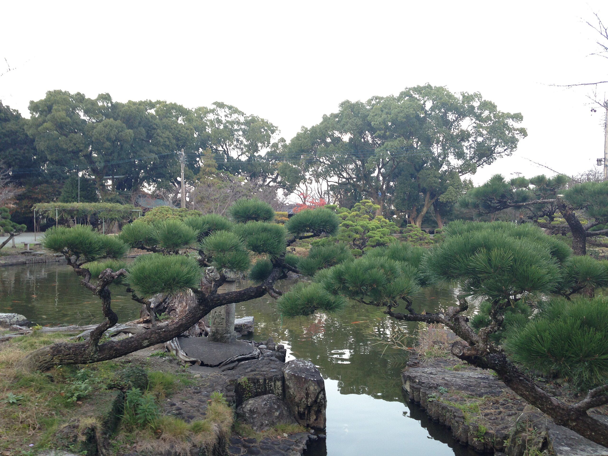 ⛩️ 미하시라 신사 이미지 7